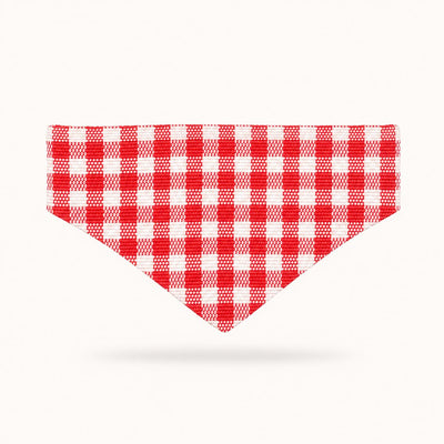 Picnic bib